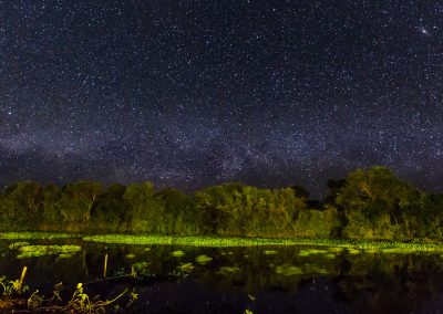 PANTANAL_GALERIA_09