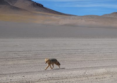 SALARYUYNI_GALERIA_09
