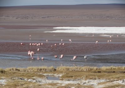 SALARYUYNI_GALERIA_14