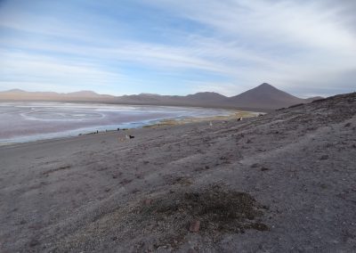 SALARYUYNI_GALERIA_15