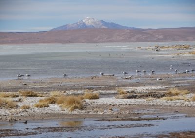 SALARYUYNI_GALERIA_17