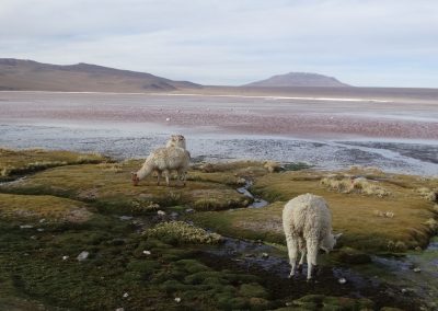 SALARYUYNI_GALERIA_18
