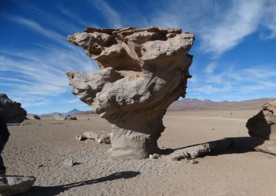 SALARYUYNI_GALERIA_20