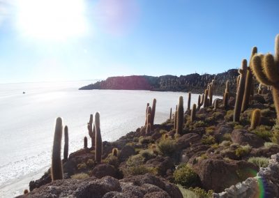 SALARYUYNI_GALERIA_31