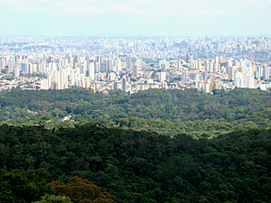 Parque Estadual da Cantareira – São Paulo/SP