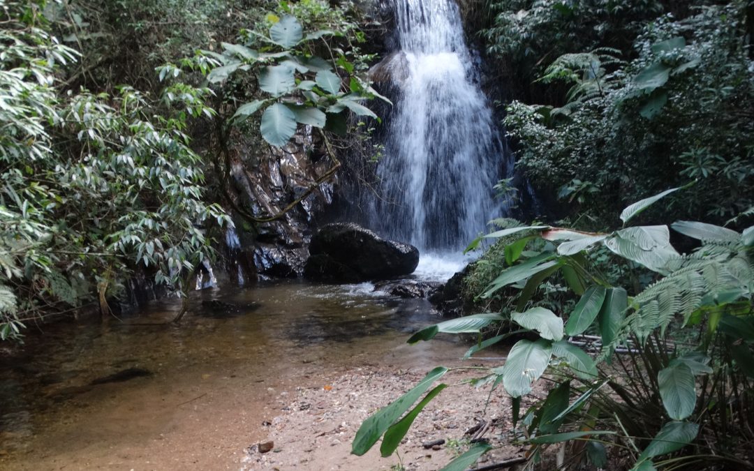 Serra do Japi – Trilha das Jabuticabeiras – Jundiaí/SP