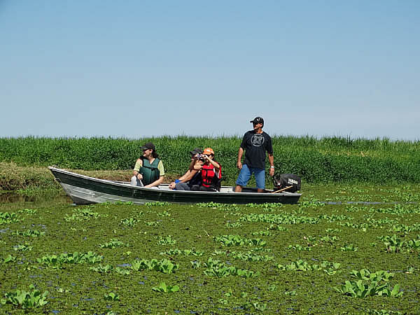 Tanquã – Mini Pantanal Paulista – Piracicaba/SP